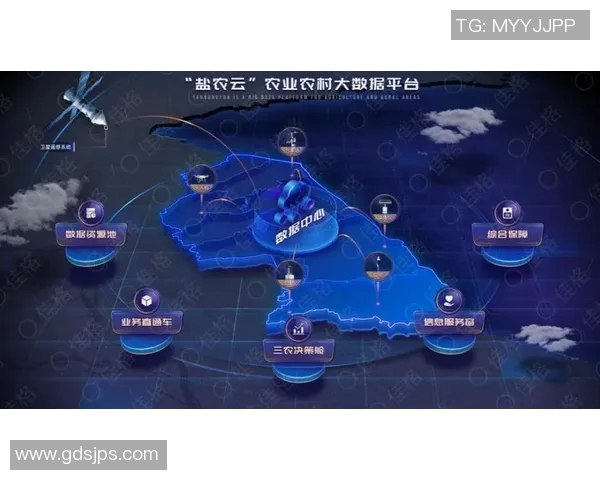 重磅专题：探索V5防反机制的创新与未来发展趋势