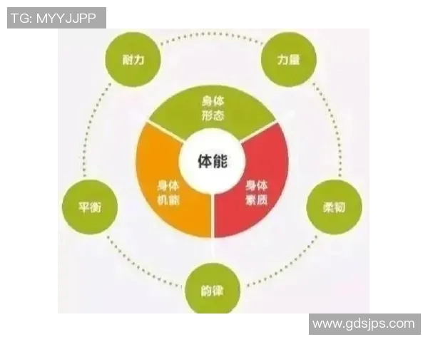 以体能训练为核心提升身体素质全方位改善健康状况的科学方法与实践