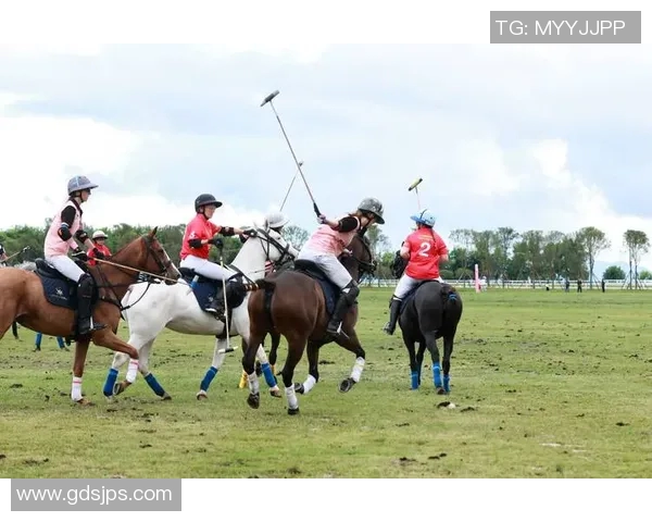 竞技体育：探索全球热门赛事、运动员精神与竞技文化的深度分析